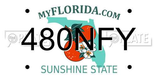 480NFY Florida License Plate