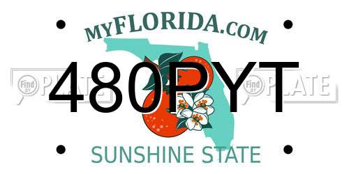 480PYT Florida License Plate