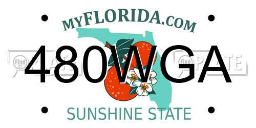 480WGA Florida License Plate