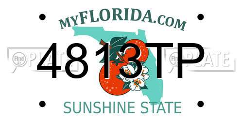 4813TP Florida License Plate