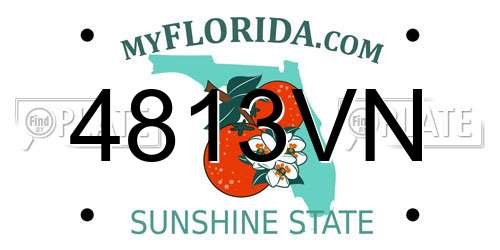 4813VN Florida License Plate
