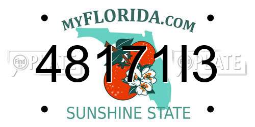 48171I3 Florida License Plate