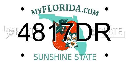 4817DR Florida License Plate
