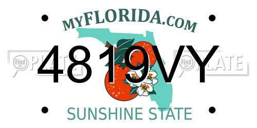 4819VY Florida License Plate