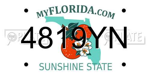 4819YN Florida License Plate