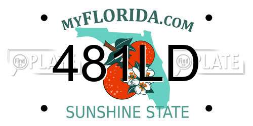 481LD Florida License Plate