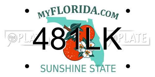 481LK Florida License Plate