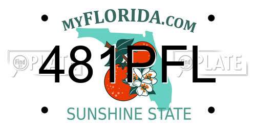 481PFL Florida License Plate