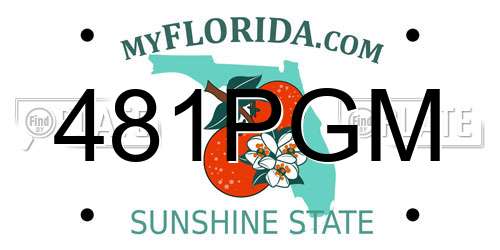 481PGM Florida License Plate