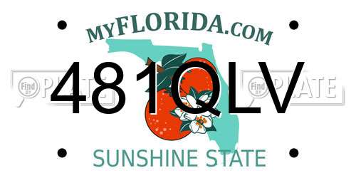 481QLV Florida License Plate