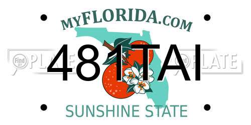 481TAI Florida License Plate