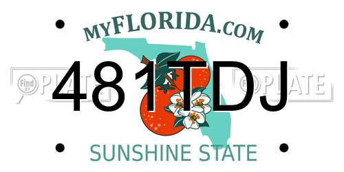 481TDJ Florida License Plate