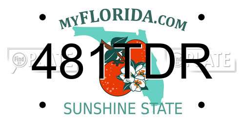 481TDR Florida License Plate