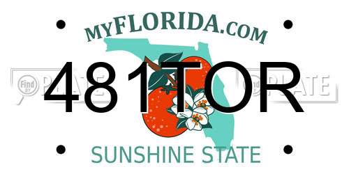481TOR Florida License Plate