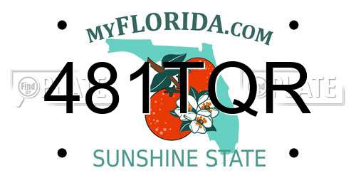 481TQR Florida License Plate