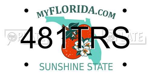 481TRS Florida License Plate