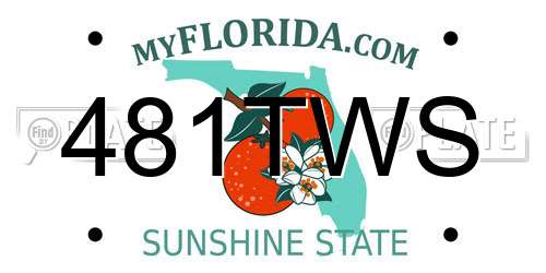 481TWS Florida License Plate