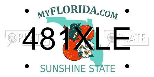 481XLE Florida License Plate
