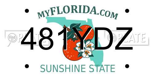 481YDZ Florida License Plate
