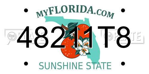 48211T8 Florida License Plate