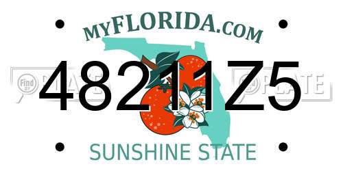 48211Z5 Florida License Plate
