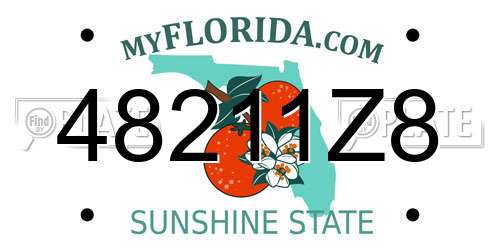 48211Z8 Florida License Plate