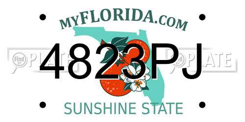 4823PJ Florida License Plate