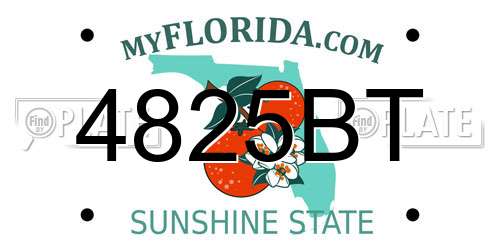 4825BT Florida License Plate
