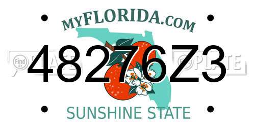 48276Z3 Florida License Plate