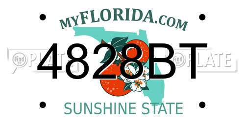 4828BT Florida License Plate