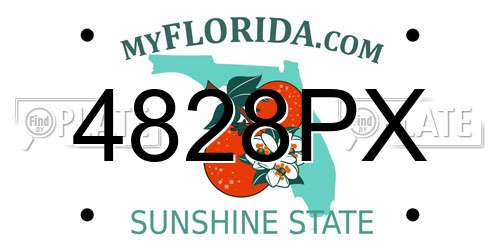 4828PX Florida License Plate