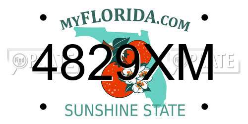 4829XM Florida License Plate