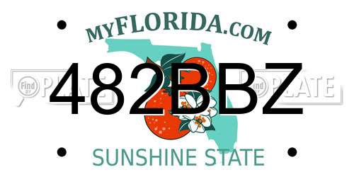 482BBZ Florida License Plate