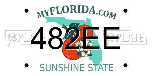 482EE Florida License Plate