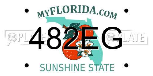 482EG Florida License Plate