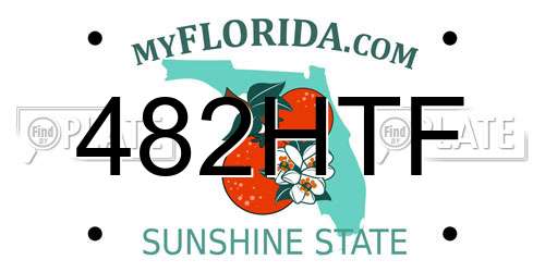 482HTF Florida License Plate