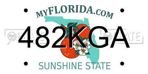 482KGA Florida License Plate