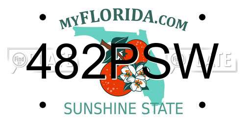 482PSW Florida License Plate