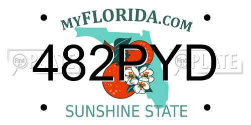 482PYD Florida License Plate