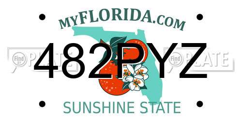482PYZ Florida License Plate