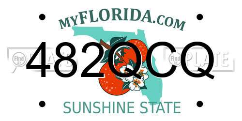 482QCQ Florida License Plate