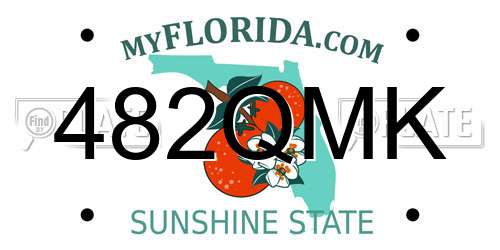 482QMK Florida License Plate