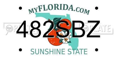 482SBZ Florida License Plate