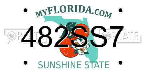 482SS7 Florida License Plate