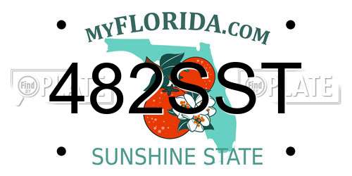 482SST Florida License Plate
