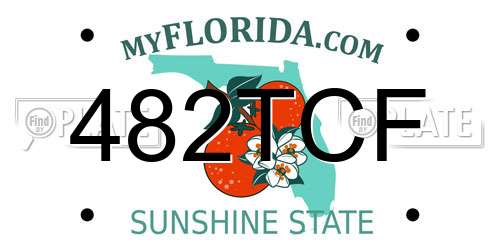 482TCF Florida License Plate