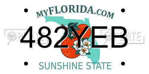 482YEB Florida License Plate