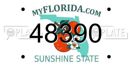 48390 Florida License Plate