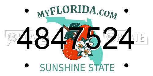 4847524 Florida License Plate