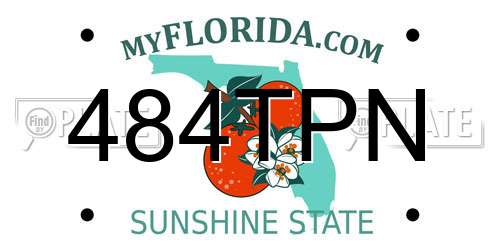 484TPN Florida License Plate